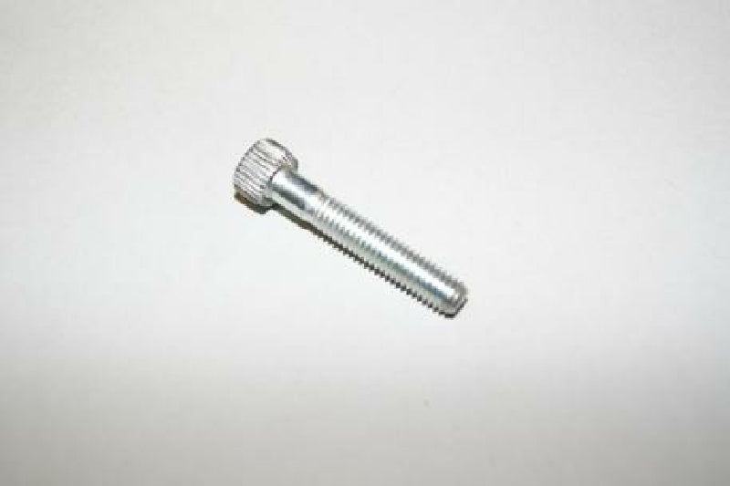 Screw for JRM chain guide, M6x35