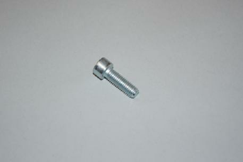 Bolt 8 X 25mm